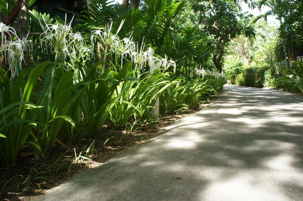 Palm Village Rawai Kültér fotó
