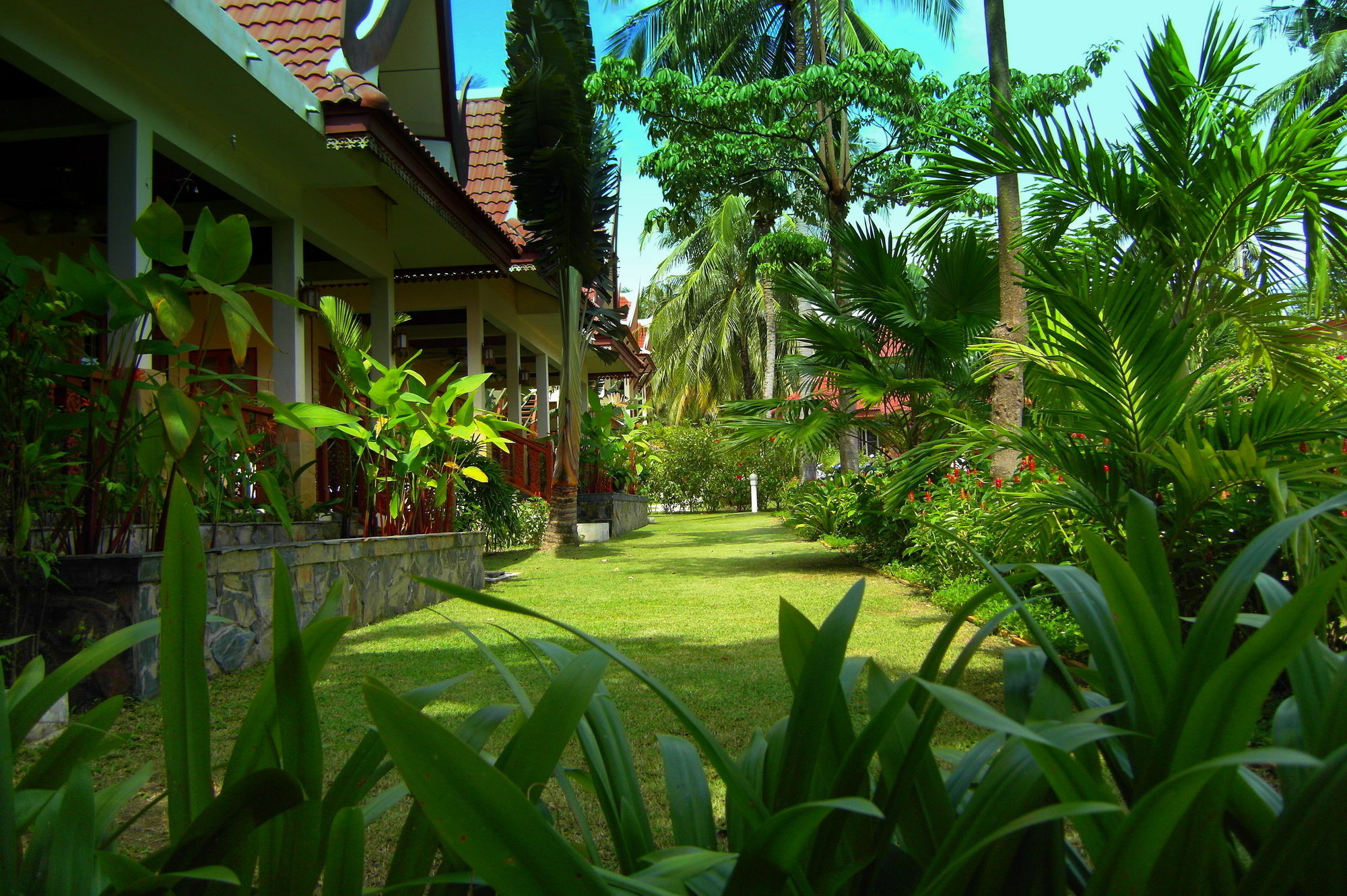 Palm Village Rawai Kültér fotó