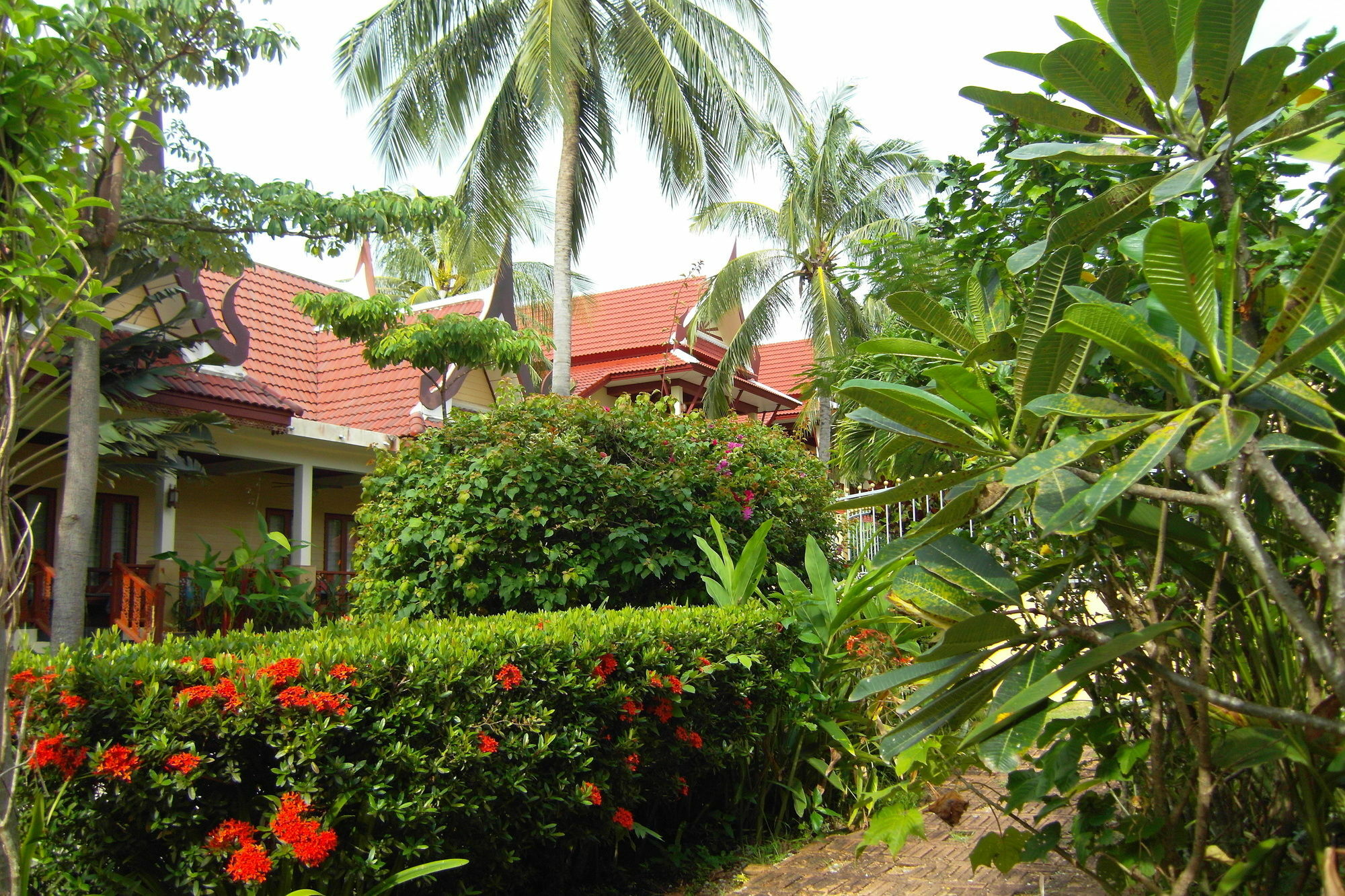 Palm Village Rawai Kültér fotó